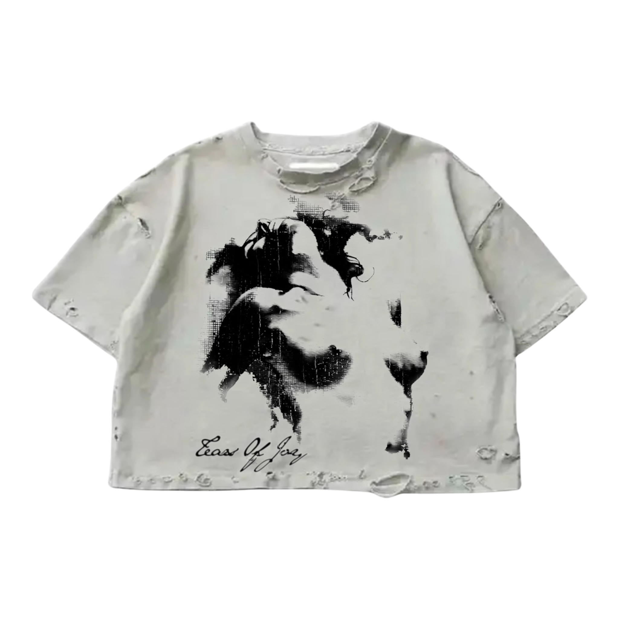 ART OF A WOMAN CROPPED RIPPED T-SHIRT (OFF WHITE)